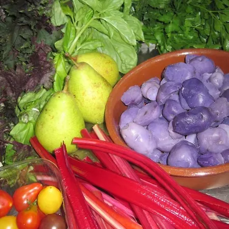 Affittacamere La Trobada