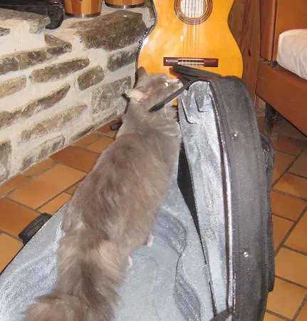 Affittacamere La Trobada Escaro