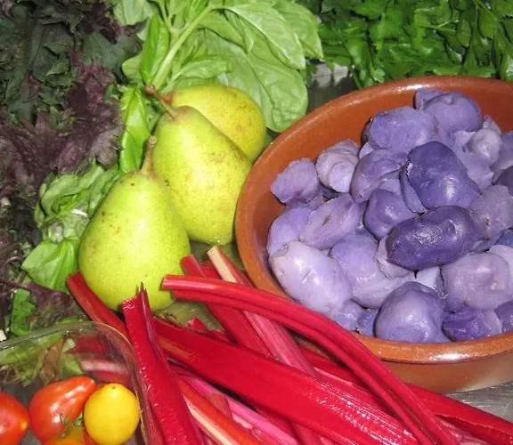 ゲストハウス La Trobada