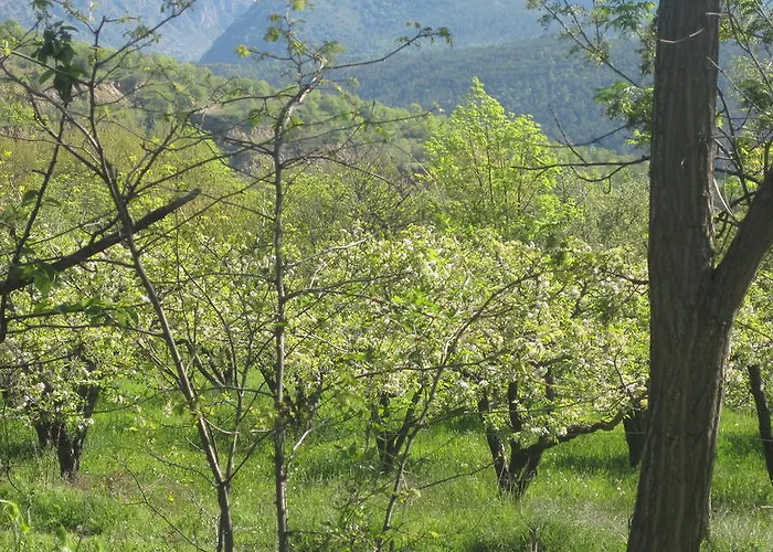 ゲストハウス La Trobada *