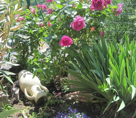 ゲストハウス La Trobada